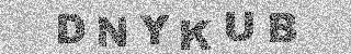 確認代碼