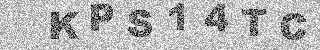 確認代碼