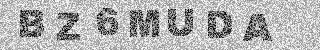 確認代碼