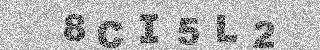 確認代碼