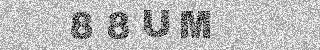 確認代碼