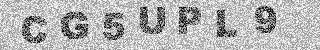 確認代碼