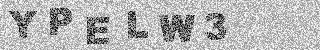 確認代碼