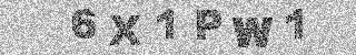 確認代碼